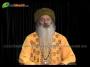 Osho Dhara Sehaja Yoga Epi-3169 part-2