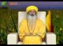 osho dhara Sehaja Yoga Epi-3279