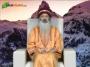 Osho Dhara Sehaja Yoga Episode-3523