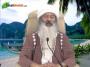 Osho Dhara Sehaja Yoga Episode-3533