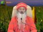 OSHO DHARA Sehaj Yog Epi-1467  Part-1