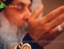 OSHO DHARA Sehaj Yog Epi-1499 Part-2