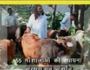 Gau Katha (Jodhpur) Part-4