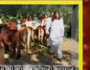 Gau Katha (Jodhpur) Part-6