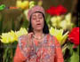 Sahaja Yoga Ep-1939 Part-1 by Osho Shailendraji 