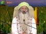 Osho Dhara Sehaj Yog Epi-1459 Part-2